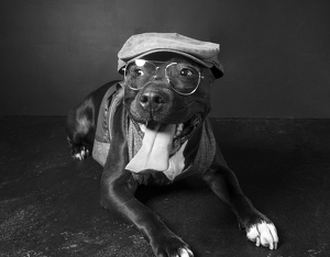 Fundraising Page: Tank Morrell